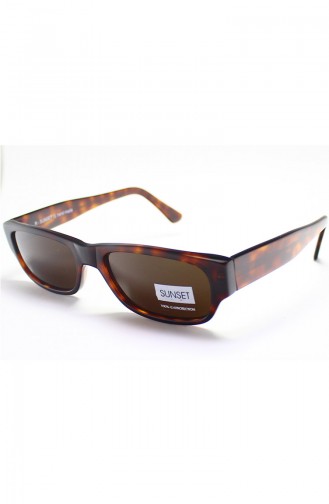 Brown Sunglasses 91C27