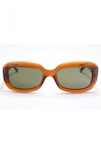 Brown Sunglasses 1031C42