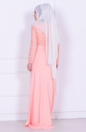 Powder Hijab Evening Dress 6618-04