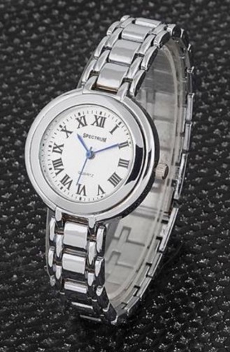 Silver Gray Wrist Watch 7169