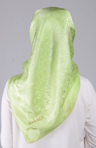 Pistachio Green Scarf 38