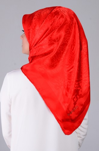 Red Scarf 39