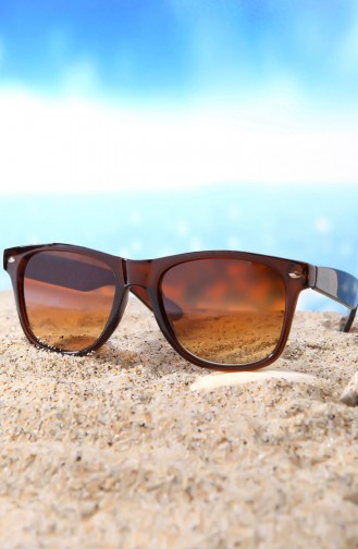 Brown Sunglasses 1102C