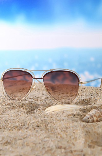 Brown Sunglasses 1115C