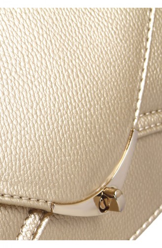 Sac Pour Femme 42218-09 Or 42218-09
