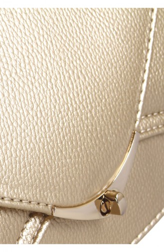 Gold Colour Shoulder Bag 42218-09