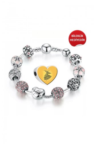 Conception Spéciale Argent Charm Angemiel Bracelet ALM002764 Coloré 002764