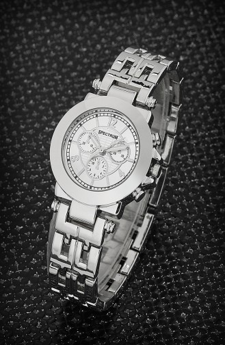 Silver Gray Wrist Watch 8069-01