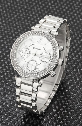 Silver Gray Wrist Watch 8228