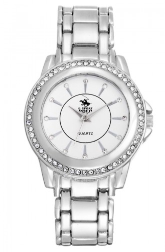 Silver Gray Wrist Watch 17204