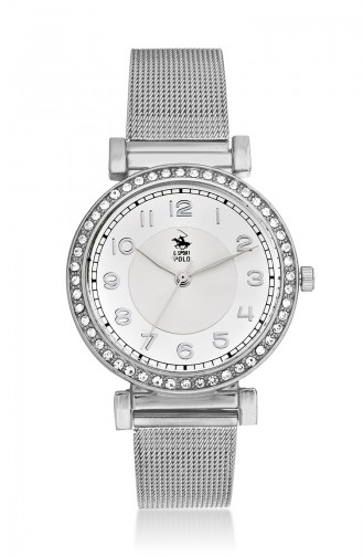 Silver Gray Wrist Watch 17312-01