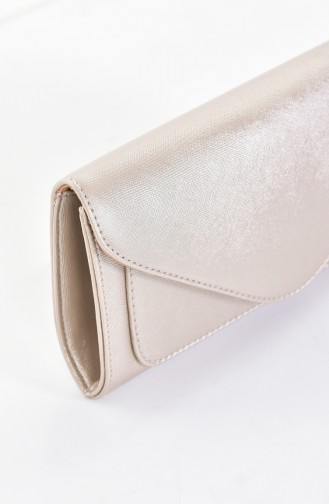 Light Gold Portfolio Clutch 0407-05