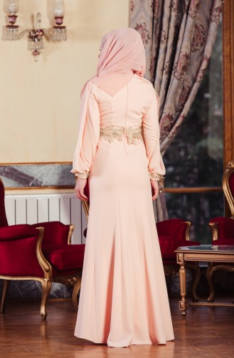 Powder Hijab Evening Dress 1056-01