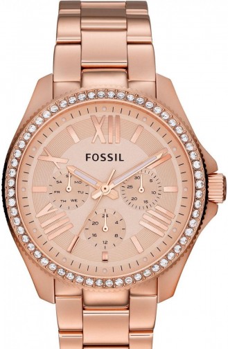 Fossil Am4483 Bayan Kol Saati