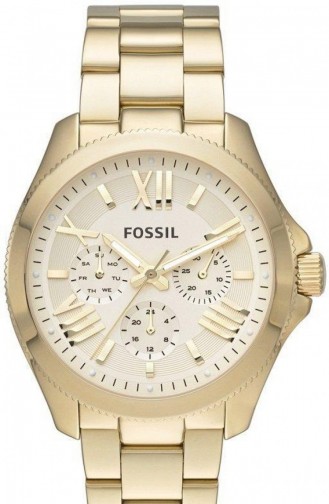 Fossil Women´s Watch Am4510 4510