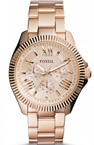 Bronze Wrist Watch 4569