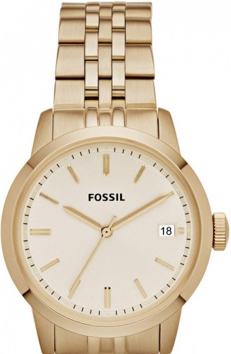 Fossil Fs4821 Damen Armbanduhr 4821