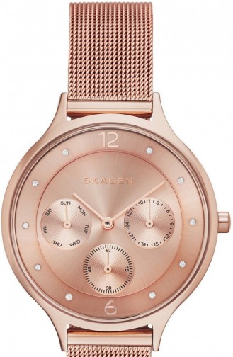 Skagen Skw2314 Montre Pour Femme 2314