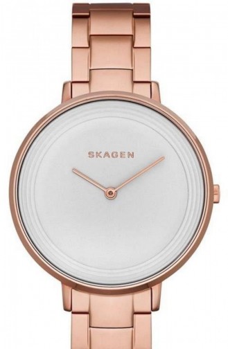 Skagen Skw2331 Montre Pour Femme 2331