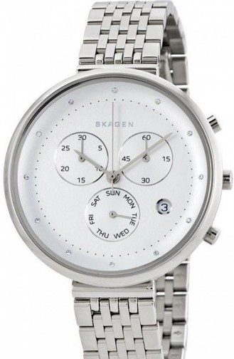 Silver Gray Horloge 2419