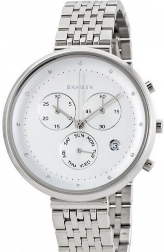 Skagen Skw2419 Montre Pour Femme 2419