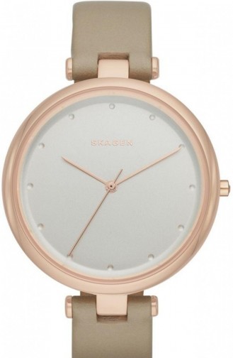 Skagen Skw2484 Montre Pour Femme 2484