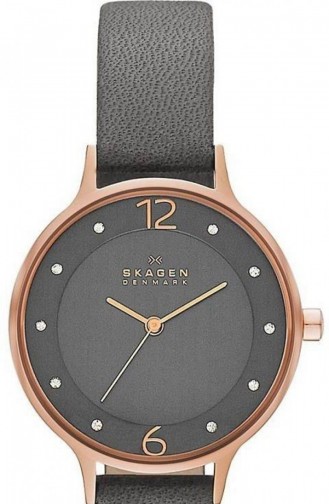 Skagen Skw2267 Montre Pour Femme 2267