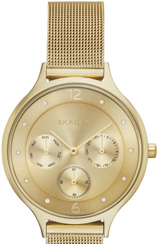 Skagen Skw2313 Montre Pour Femme 2313