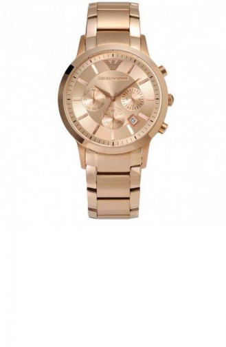 Emporio Armani Ar2452 Montre Pour Femme 2452