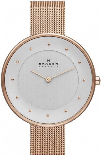 Skagen Skw2142 Montre Pour Femme 2142