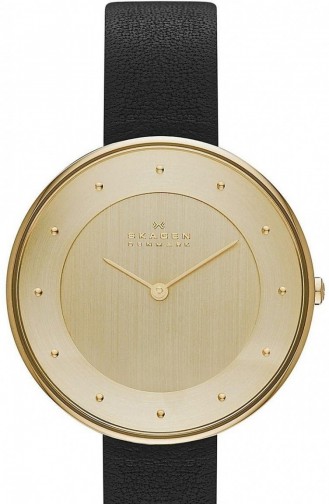 Skagen Kadın Kol Saati Skw2262 2262