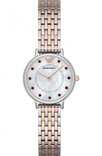 Emporio Armani Ar2515 Montre Pour Femme 2515