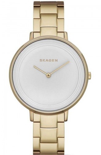 Skagen Women´s Watch Skw2330 2330