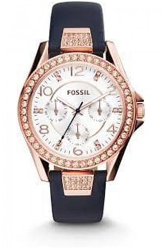 Fossil Women´s Watch Es3887 3887