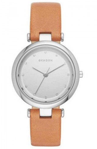 Skagen Skw2455 Montre Pour Femme 2455