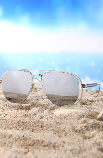 Gray Sunglasses 1077D