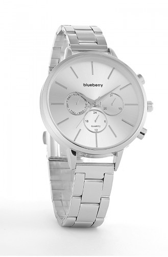 Silver Gray Wrist Watch 1C910805