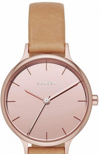 Skagen Skw2412 Montre Pour Femme 2412