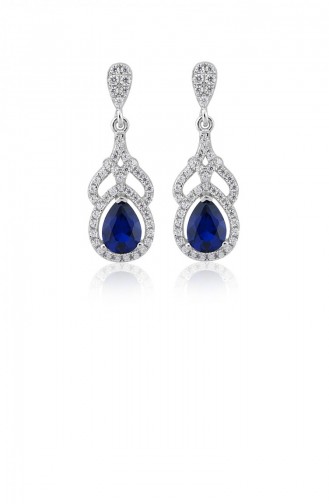 Blue Earrings 21056