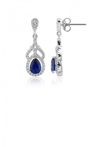 Blue Earrings 21056