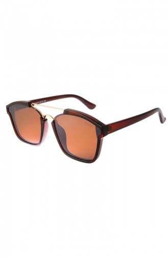 Brown Sunglasses 087COL2