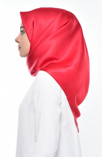 Red Scarf 09