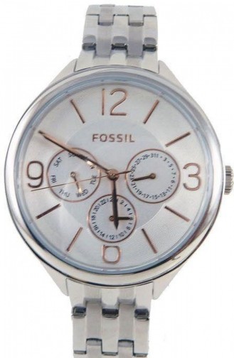 Silver Gray Horloge 3150