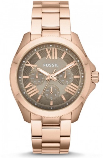 Fossil Women´s Watch Am4533 4533
