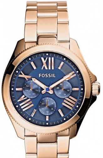 Fossil Am4566 Bayan Kol Saati