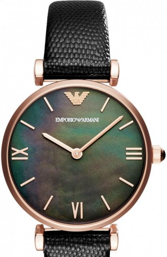 Emporio Armani Women´s Watch Ar11060 11060