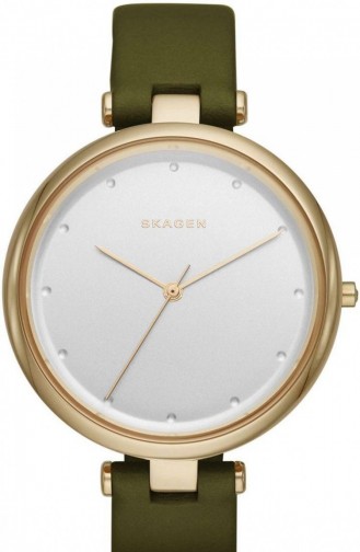 Skagen Skw2483 Montre Pour Femme 2483