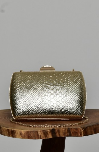 Golden Portfolio Clutch 0276-01