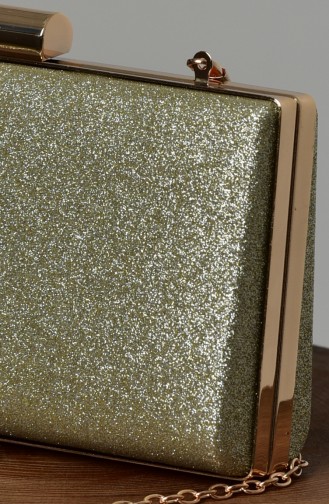 Gold Colour Portfolio Hand Bag 0279-01