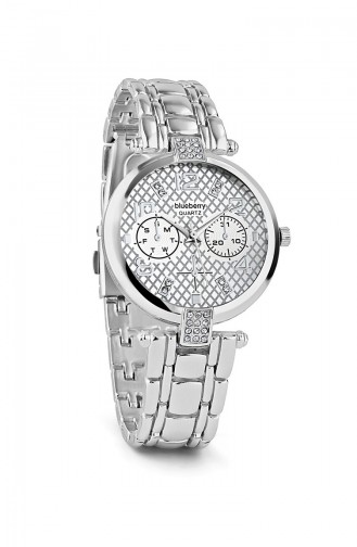 Silver Gray Wrist Watch 7A4405M04